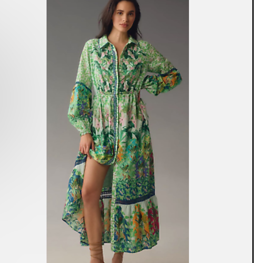Anthropologiee Elenora Long Sleeve Printed Maxi Dresss